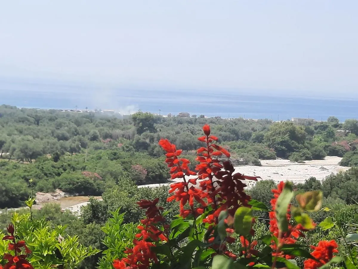 Сasa de vacaciones Dhoma Plazhi Borsh Vag Villa
