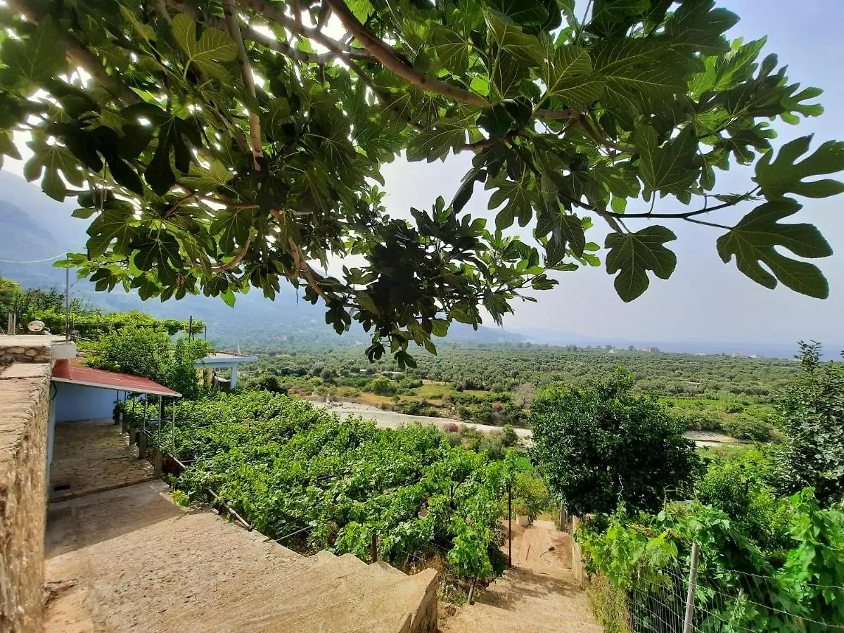 Dhoma Plazhi Borsh Vag Villa 0*,  Albania